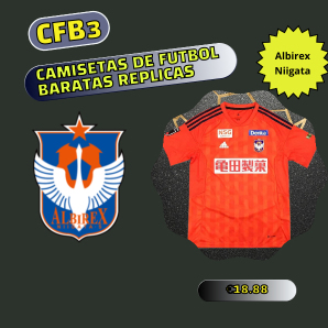 camiseta replica Albirex Niigata